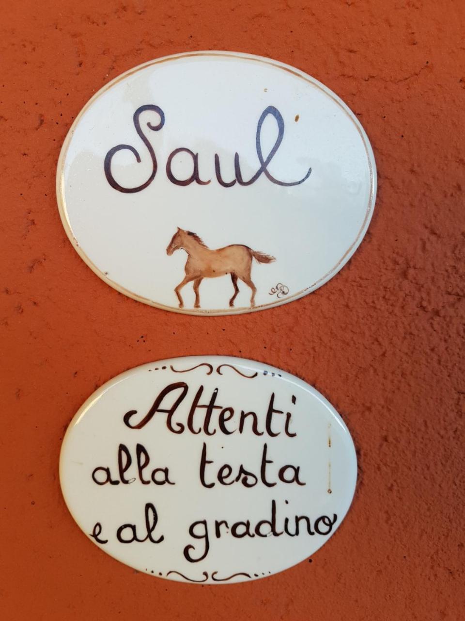 B&B La Cascina Di Monia E Mario Borgo Ticino Екстериор снимка